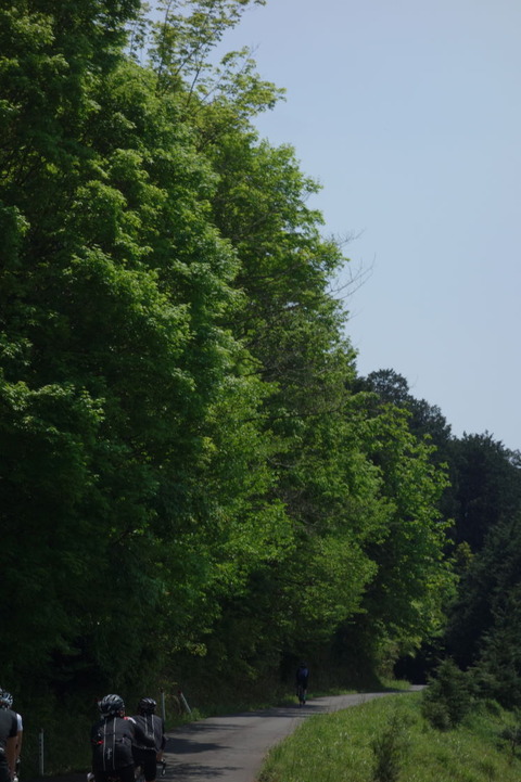 DSC03223