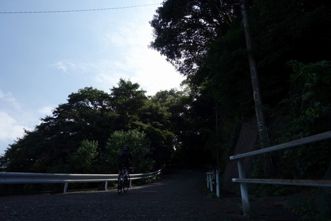 DSC06997