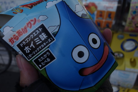 DSC04071