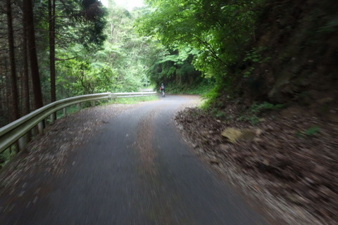 DSC04310