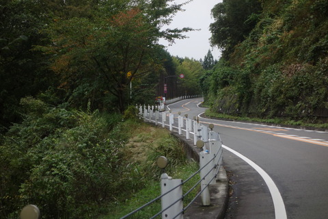 DSC08888