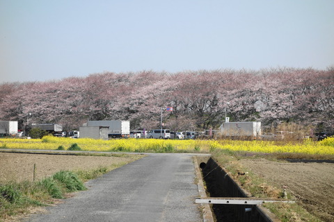 DSC01524
