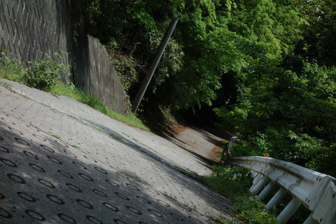 DSC03463