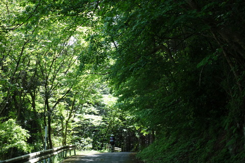 DSC03375