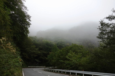 DSC08563