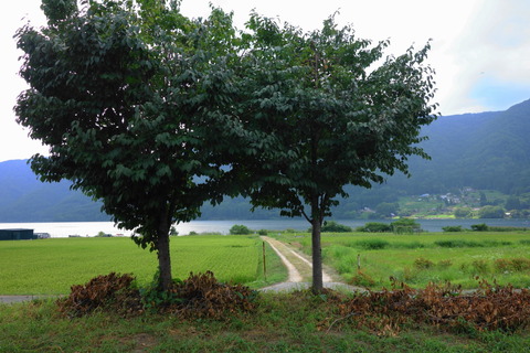 DSC06226
