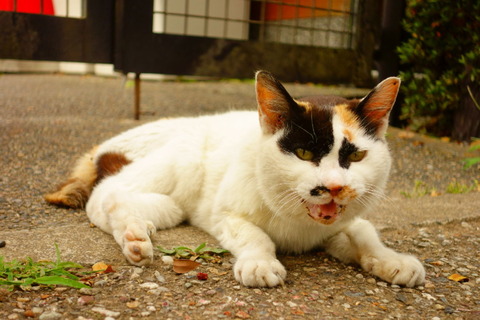 DSC02283
