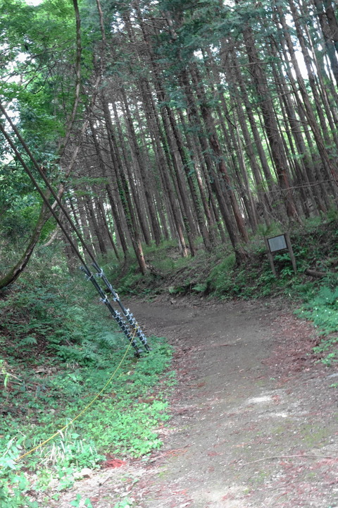 DSC04741