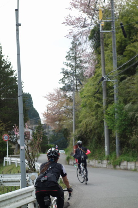 DSC02423