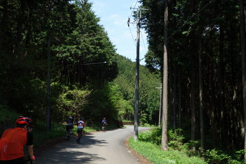 DSC03506