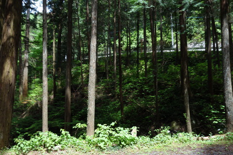DSC03402