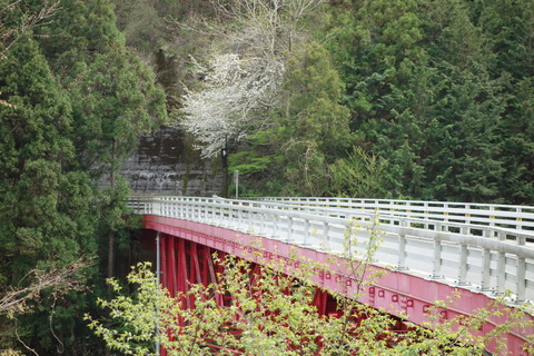 DSC02436
