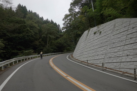 DSC08806