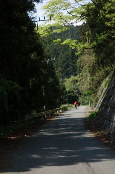 DSC03231