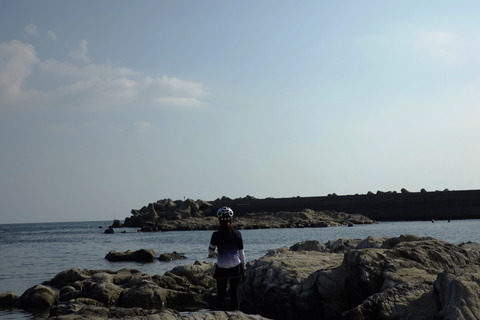 DSC07113