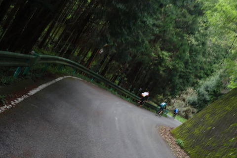 DSC03130
