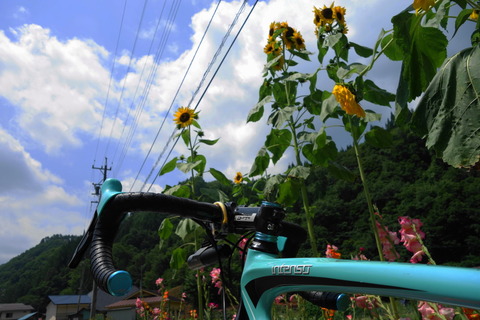 DSC06177