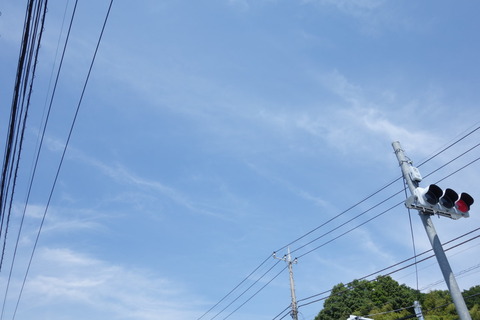 DSC04498