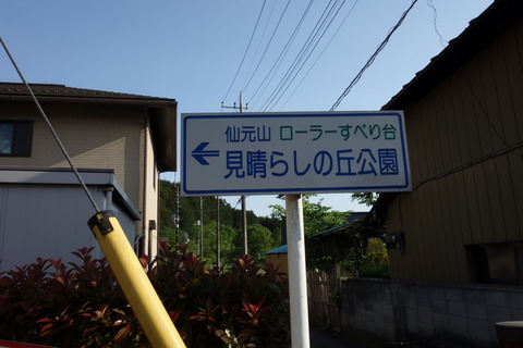 DSC03569