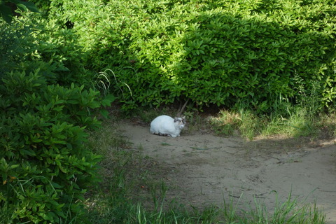 DSC04047