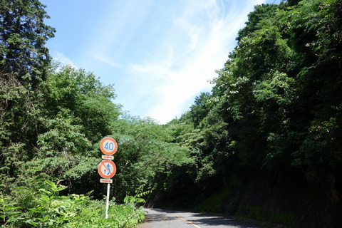 DSC05337