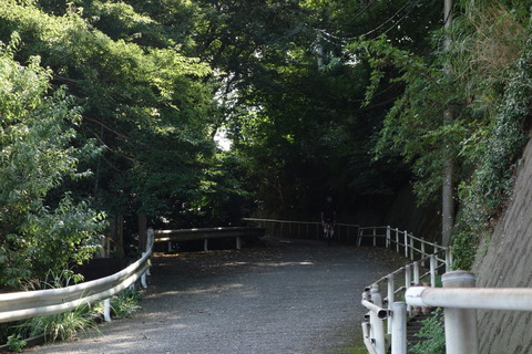 DSC07003