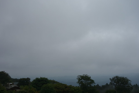 DSC05684