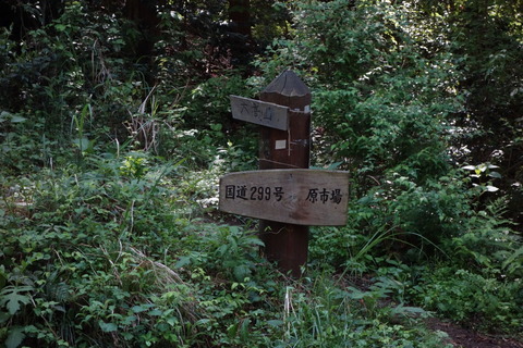 DSC03372