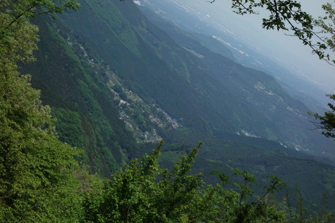 DSC03485