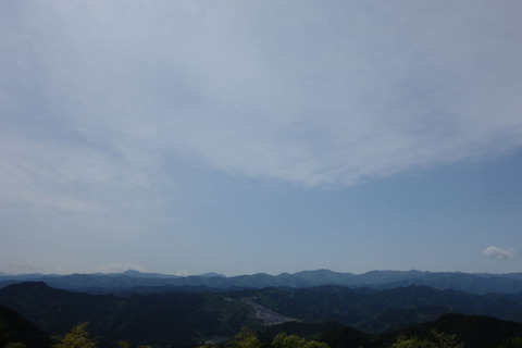 DSC03419
