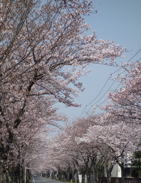 DSC01513