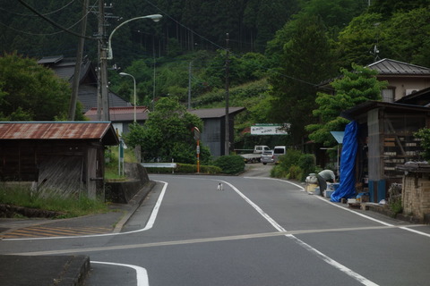 DSC04100