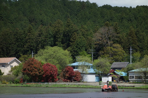 DSC03021
