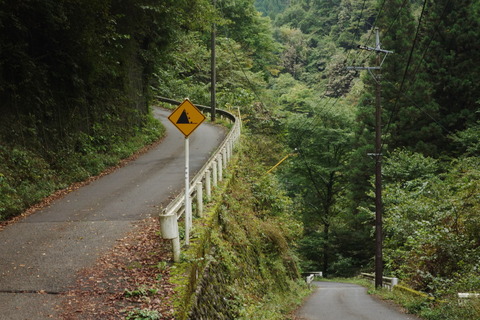DSC09311