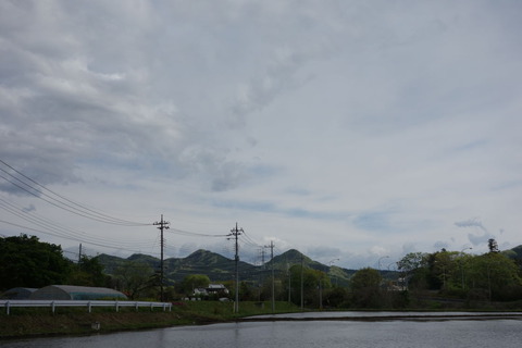 DSC02978