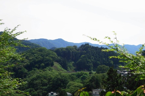 DSC04713