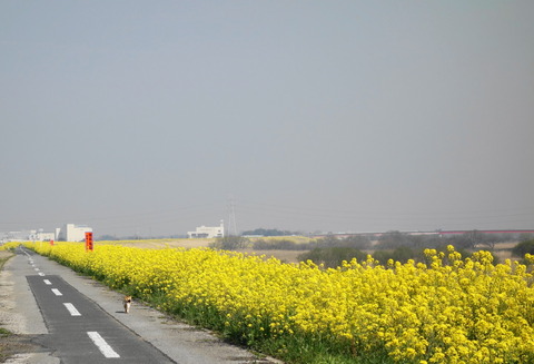 DSC01505