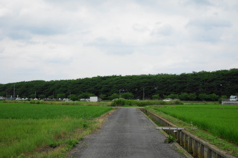 DSC03560
