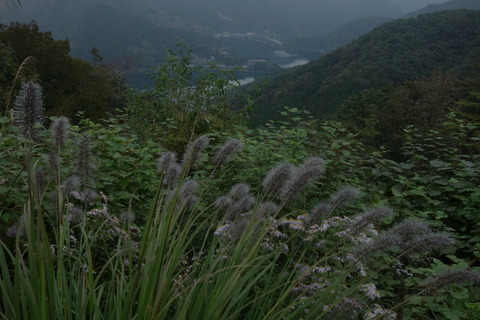 DSC08902