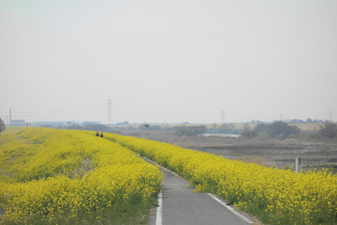 DSC01529