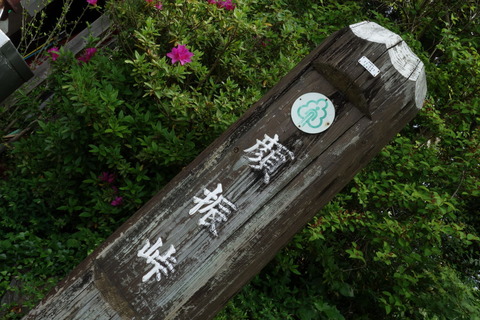 DSC03425