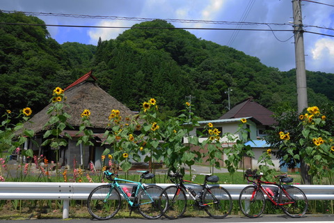 DSC06173