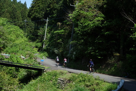 DSC03367