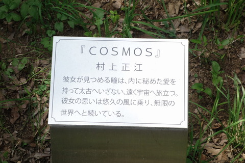 DSC04627