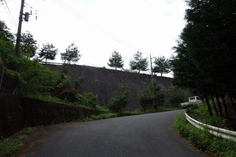 DSC03698