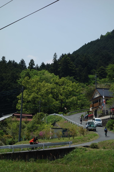 DSC03229