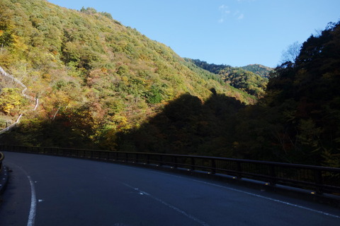 DSC00246