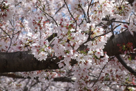 032