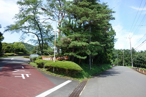 DSC05334