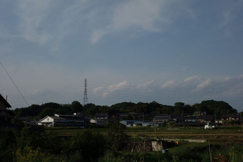 DSC03572